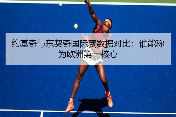 约基奇与东契奇国际赛数据对比：谁能称为欧洲第一核心